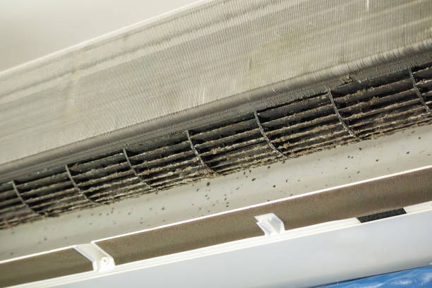 Best HVAC Duct Inspection Services  in Porter, IN